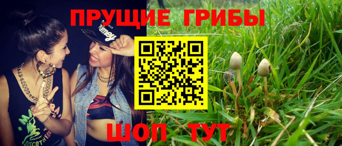 Сунжа  Галлюциногенные грибы мицелий  Вход с VPN 