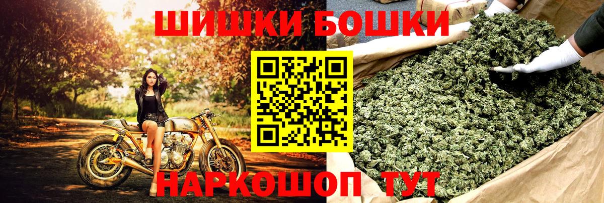Каннабис план  Вход с VPN  Бошки марихуана SATIVA & INDICA  Бошки Шишки марихуана  Сунжа  Бошки Шишки семена 